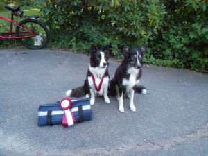 Champion sheepherder Keeper and buddy Trip!!