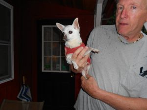 Perky Bea, 15 years YOUNG overnighted at the cottage.