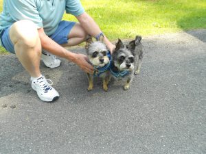 Delightful siblings - MacGee and Skippy!