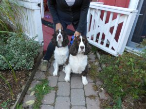 Ella and Lucy - what a fabulous duo!