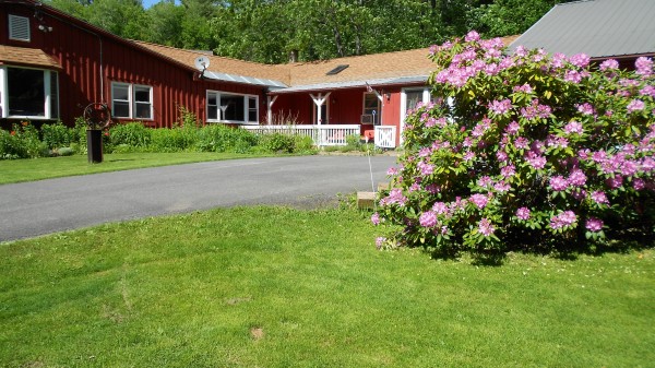 pet friendly bed and breakfast in western ma