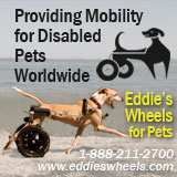 Eddie's Wheels